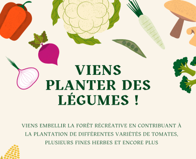 Activité de plantation de légumes 