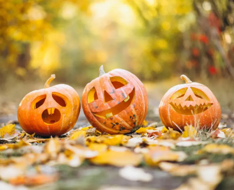 Halloween