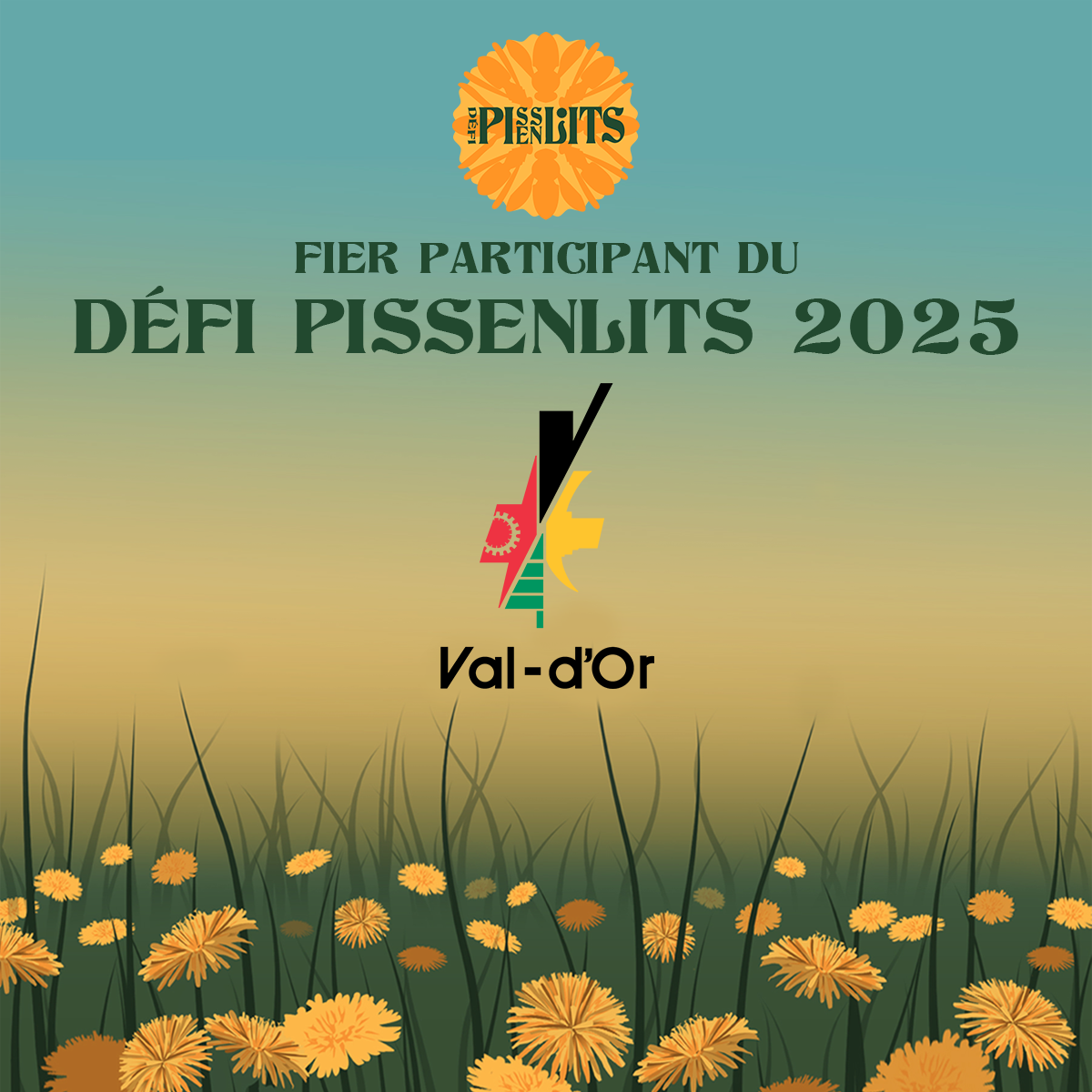 2025_Ville-de-Val-d_Or.png (842 KB)